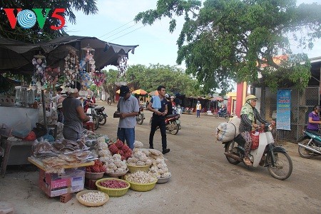 Onion and garlic farming on Ly Son Island  - ảnh 4